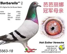 SC佛莱堡取得漂亮胜利喜悦无限