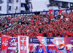 爱体育-重庆力狮主场告捷，士气腾飞令人瞩目