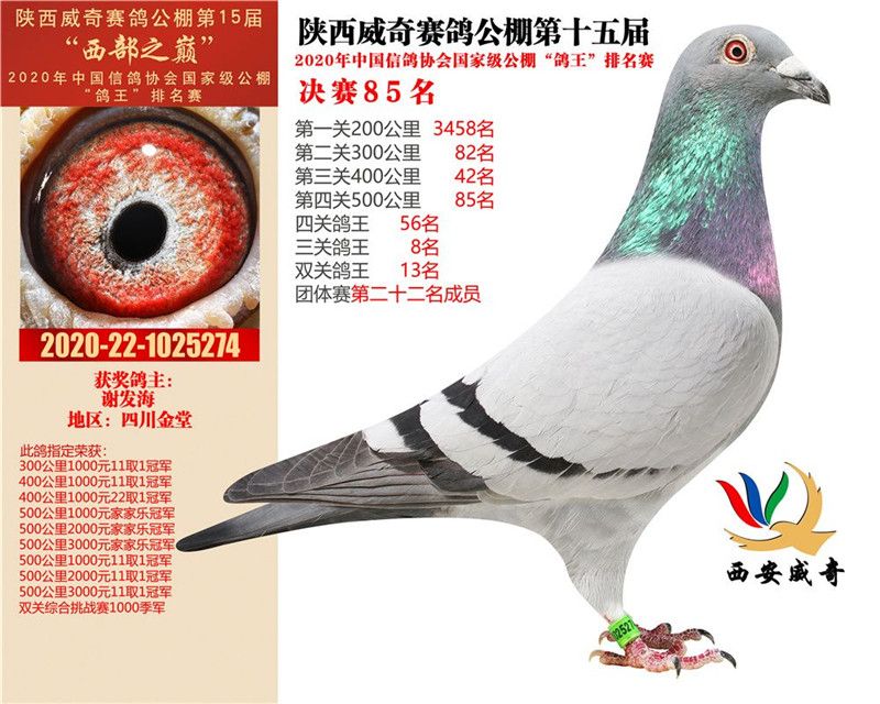 武汉卓尔实力超群，是否能为夺冠再添一筹？